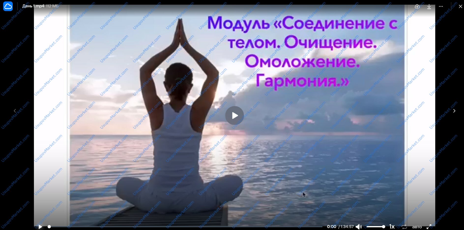 Соединение с телом. Очищение. Омоложение. Гармония. Январь 2024 (Эмилия Франк)